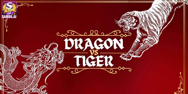 Những điều cần biết khi chơi Dragon & Tiger